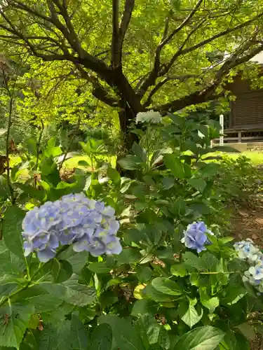 日光鹿島神社の自然