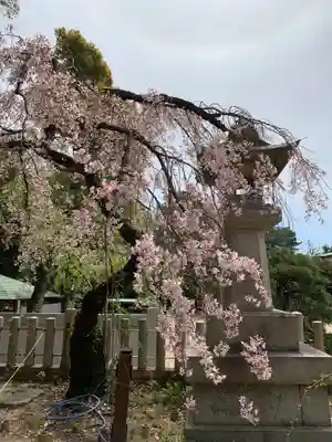 弓弦羽神社の自然