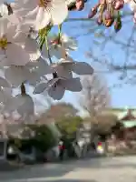 潮田神社の{uncategorized: "未分類", other: "その他", undefined: "問題あり", building: "その他建物", grave: "お墓", sacred_gate: "鳥居", guardian: "狛犬", statue: "像", buddha: "仏像", history: "歴史", nature: "自然", garden: "庭園", animal: "動物", pagoda: "塔", temizu: "手水舎", mountain_gate: "山門・神門", sanctuary: "本殿・本堂", subordinate: "末社・摂社", art: "芸術", scenery: "景色", jizo: "地蔵", ema: "絵馬", goshuin: "御朱印", omikuji: "おみくじ", items: "授与品その他", amulet: "お守り", goshuincho: "御朱印帳", eats: "食事", festival: "お祭り", votive_dance: "神楽", shichigosan: "七五三参", wedding: "結婚式", experience: "体験その他", initially: "初詣", around: "周辺", anti_infection: "感染症対策"}
