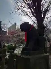 市谷亀岡八幡宮の狛犬