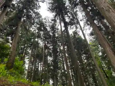 大宮温泉神社(栃木県)