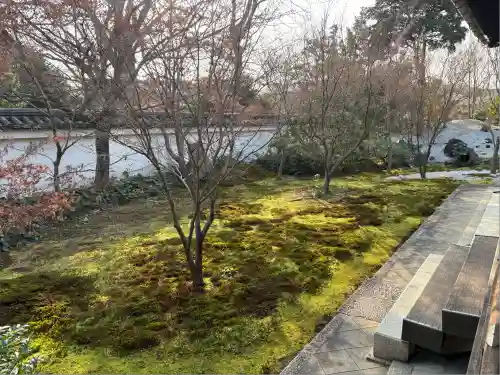 興聖寺(京都府)