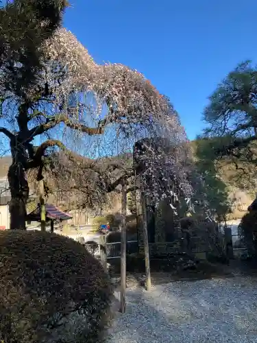御嶽山神社の{uncategorized: "未分類", other: "その他", undefined: "問題あり", building: "その他建物", grave: "お墓", sacred_gate: "鳥居", guardian: "狛犬", statue: "像", buddha: "仏像", history: "歴史", nature: "自然", garden: "庭園", animal: "動物", pagoda: "塔", temizu: "手水舎", mountain_gate: "山門・神門", sanctuary: "本殿・本堂", subordinate: "末社・摂社", art: "芸術", scenery: "景色", jizo: "地蔵", ema: "絵馬", goshuin: "御朱印", omikuji: "おみくじ", items: "授与品その他", amulet: "お守り", goshuincho: "御朱印帳", eats: "食事", festival: "お祭り", votive_dance: "神楽", shichigosan: "七五三参", wedding: "結婚式", experience: "体験その他", initially: "初詣", around: "周辺", anti_infection: "感染症対策"}