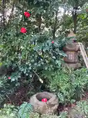 芝大神宮の建物その他