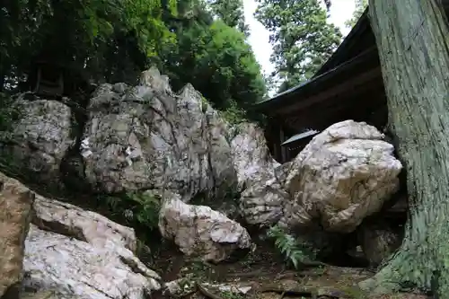 鹿島大神宮の自然