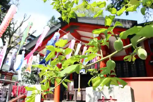 くまくま神社(導きの社 熊野町熊野神社)のその他建物