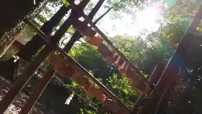 出雲大神宮の絵馬