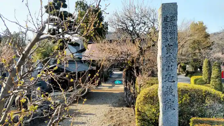 地蔵院(東京都)