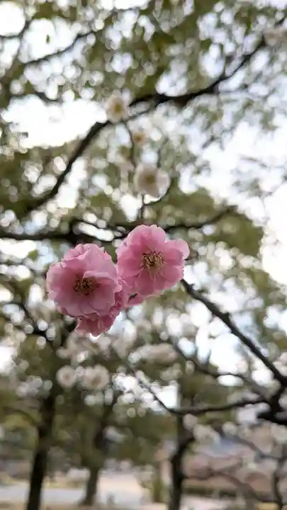 智積院(京都府)