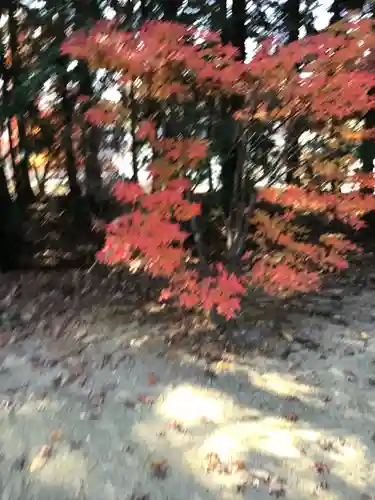 滑川神社 - 仕事と子どもの守り神の自然