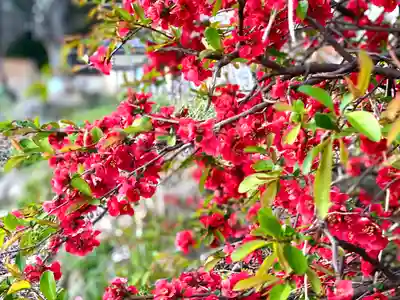 滋野神社の自然
