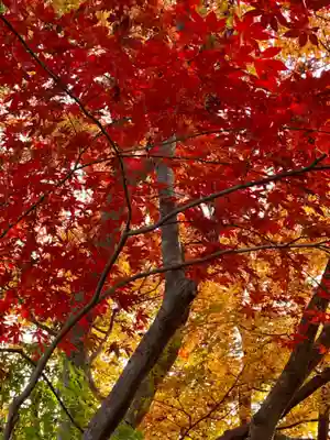 華厳寺(鈴虫寺)(京都府)
