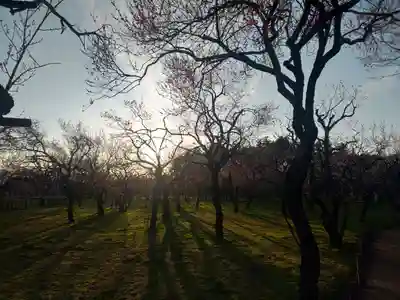 茨城縣護國神社の周辺