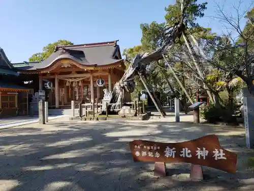 新北神社の建物その他