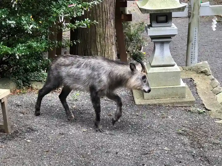 高司神社〜むすびの神の鎮まる社〜(福島県)