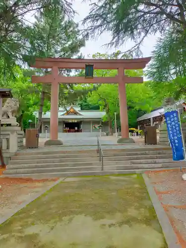 和歌山縣護國神社の鳥居