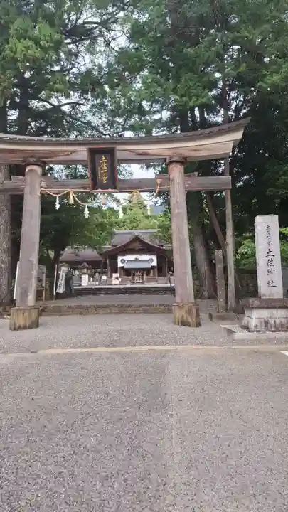 土佐神社(高知県)