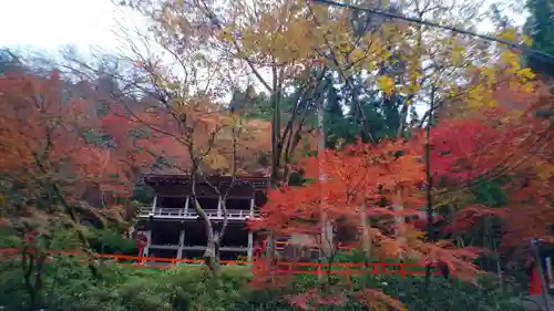 貴船神社の自然