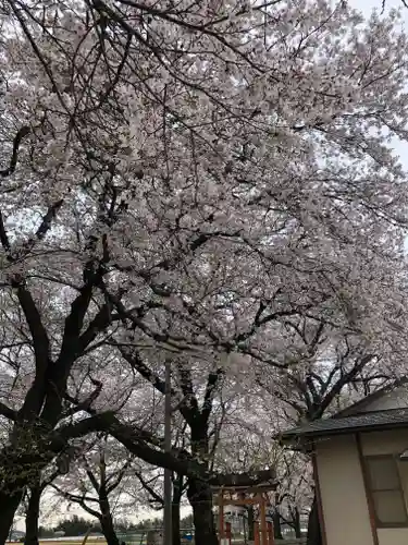 東蕗田天満社の自然