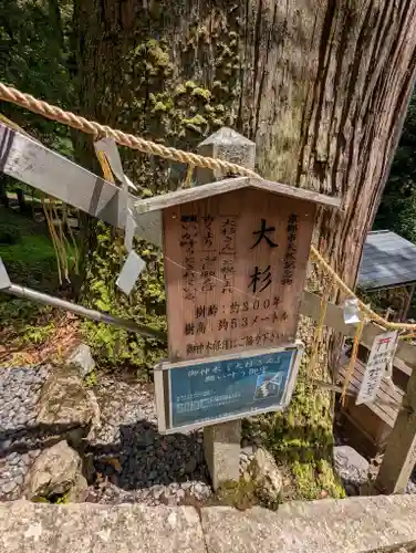 由岐神社(京都府)
