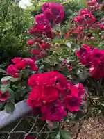 東蕗田天満社の自然