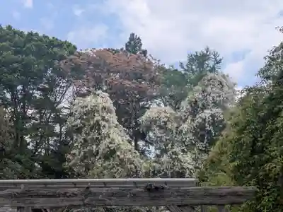 東征神社(茨城県)
