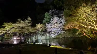 知恩院(京都府)