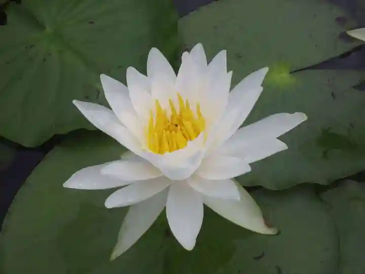常盤神社(山口県)