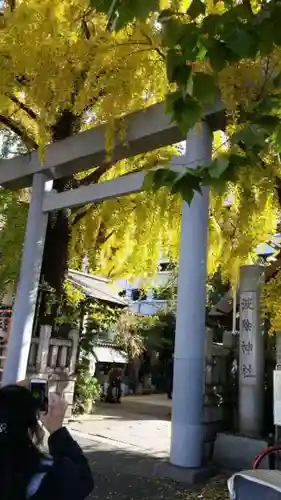 波除神社（波除稲荷神社）の鳥居