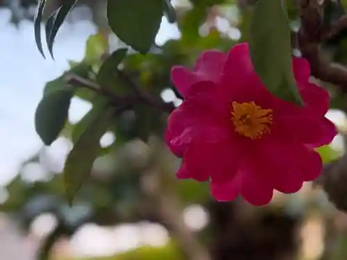 西方山極楽寺(岐阜県)