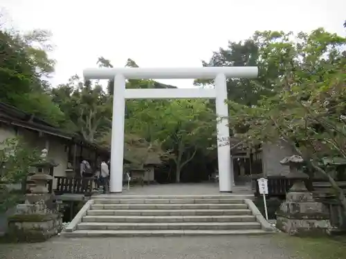 安房神社の鳥居