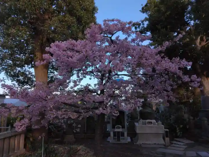 龍華寺(神奈川県)