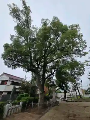本莊神社(岐阜県)