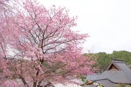 宝泉寺の庭園