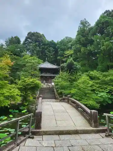 知恩院(京都府)