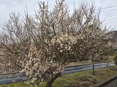 円照寺(兵庫県)