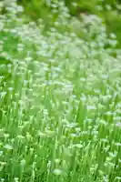 浄土寺(兵庫県)