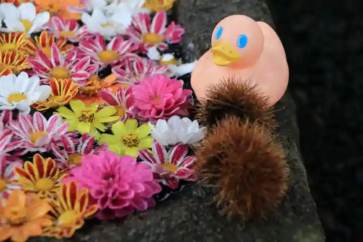 大鏑神社の手水舎