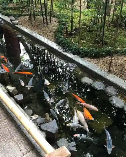 秩父神社(埼玉県)