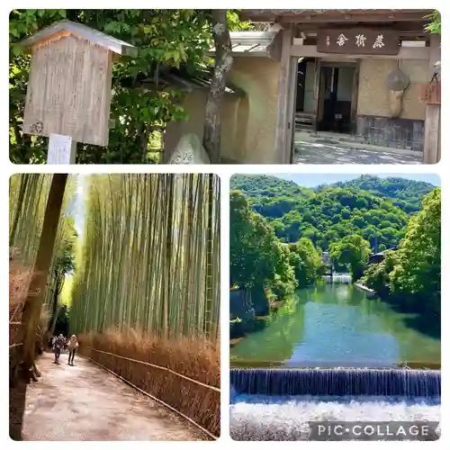 祇王寺(京都府)