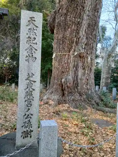 芝東照宮の{uncategorized: "未分類", other: "その他", undefined: "問題あり", building: "その他建物", grave: "お墓", sacred_gate: "鳥居", guardian: "狛犬", statue: "像", buddha: "仏像", history: "歴史", nature: "自然", garden: "庭園", animal: "動物", pagoda: "塔", temizu: "手水舎", mountain_gate: "山門・神門", sanctuary: "本殿・本堂", subordinate: "末社・摂社", art: "芸術", scenery: "景色", jizo: "地蔵", ema: "絵馬", goshuin: "御朱印", omikuji: "おみくじ", items: "授与品その他", amulet: "お守り", goshuincho: "御朱印帳", eats: "食事", festival: "お祭り", votive_dance: "神楽", shichigosan: "七五三参", wedding: "結婚式", experience: "体験その他", initially: "初詣", around: "周辺", anti_infection: "感染症対策"}