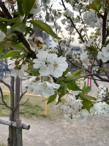 溝旗神社（肇國神社）(岐阜県)