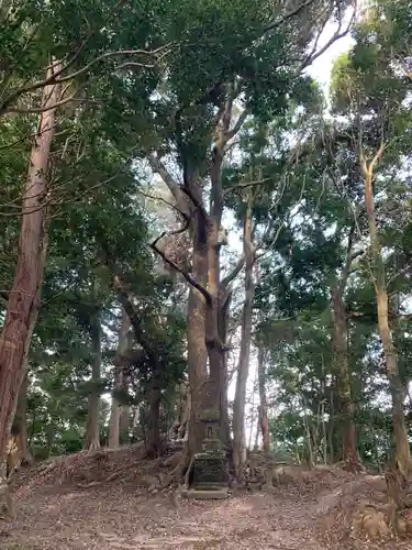 浅間神社の自然