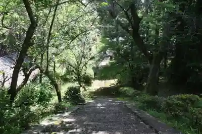園養寺(滋賀県)