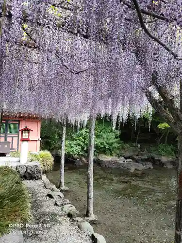 富士山本宮浅間大社の庭園