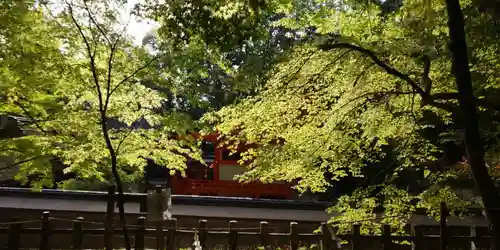 出雲大神宮の景色