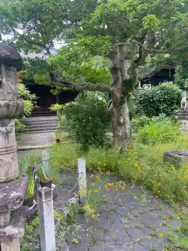 元興寺塔跡(奈良県)