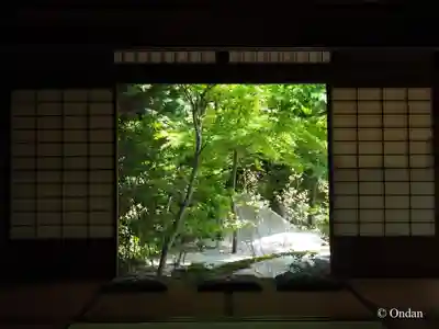 興聖寺(京都府)