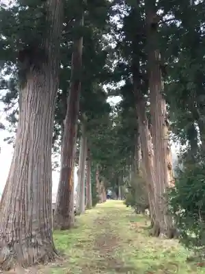 高杜神社の自然