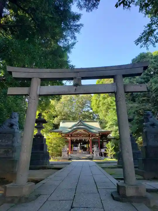 中野氷川神社の鳥居